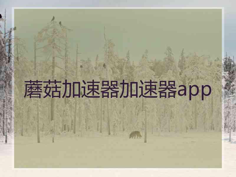 蘑菇加速器加速器app