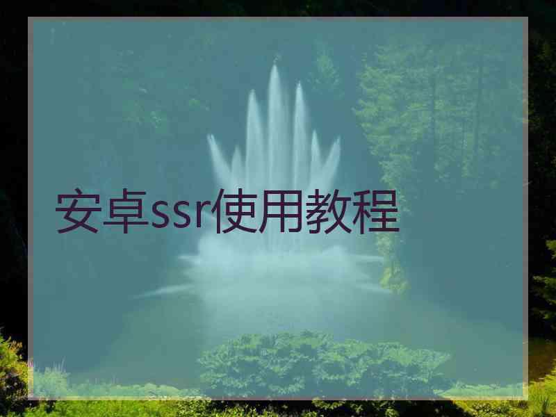 安卓ssr使用教程