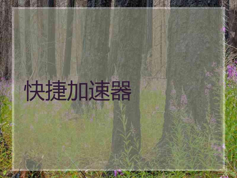快捷加速器