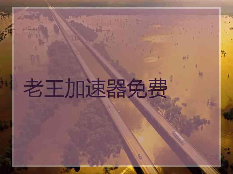 老王加速器免费