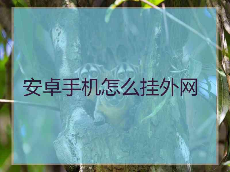 安卓手机怎么挂外网