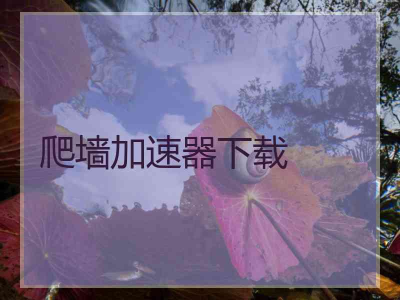 爬墙加速器下载