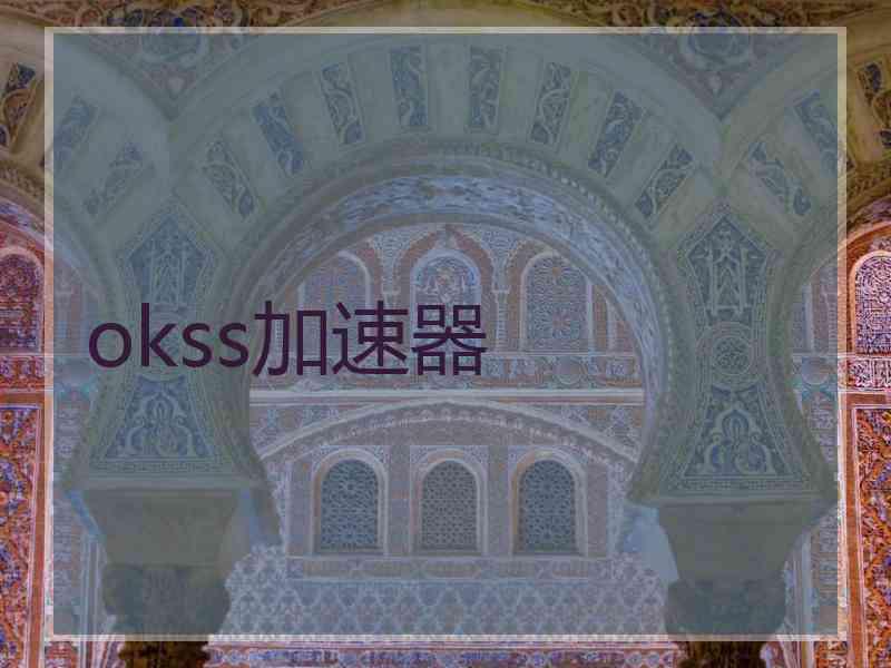 okss加速器
