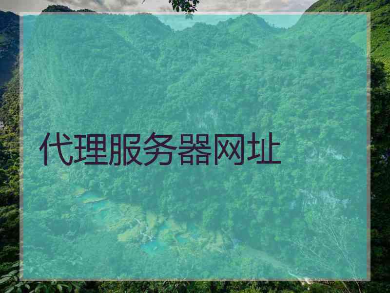 代理服务器网址