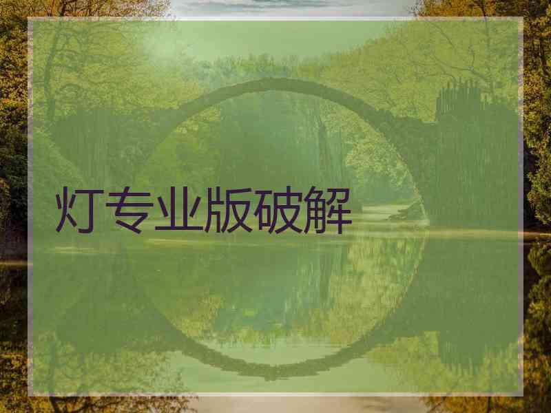 灯专业版破解