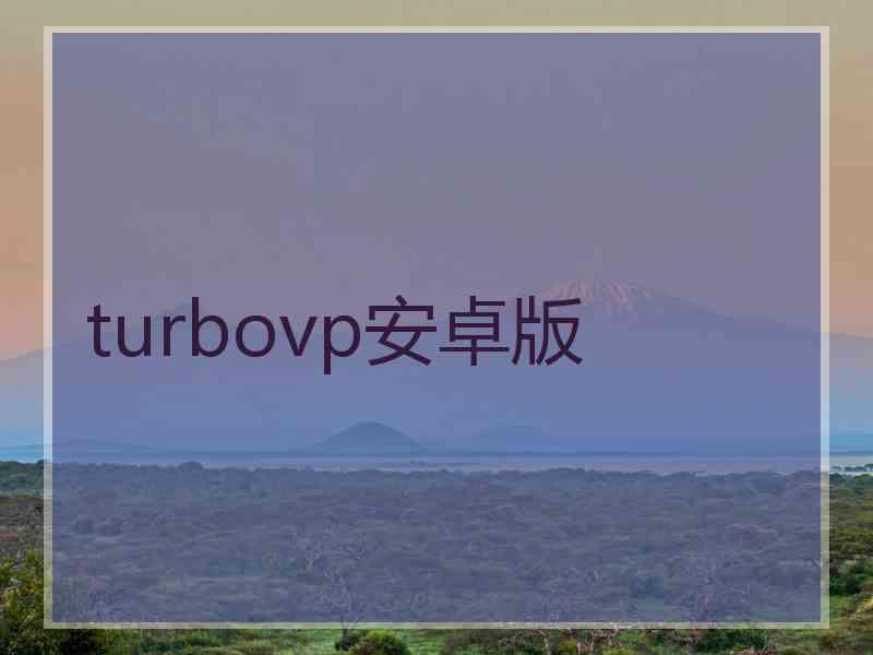 turbovp安卓版