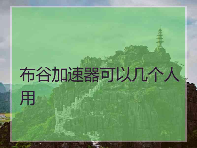 布谷加速器可以几个人用