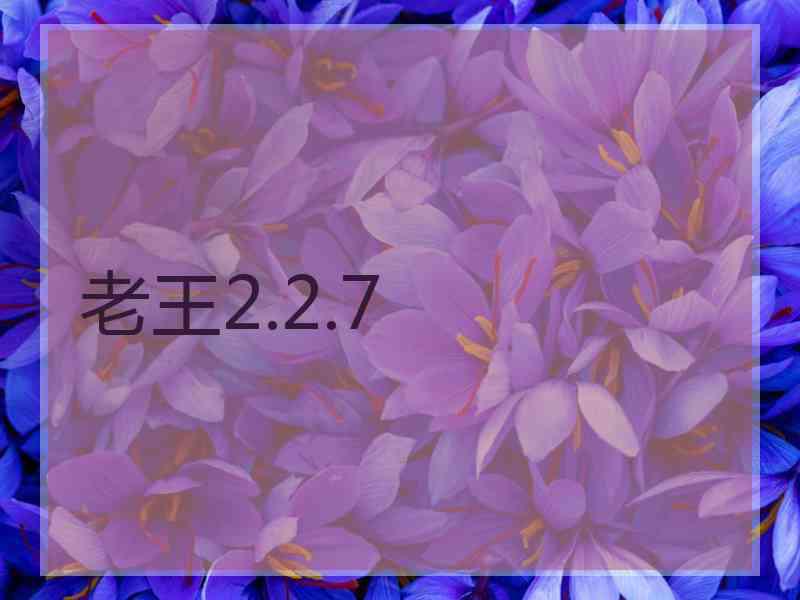 老王2.2.7