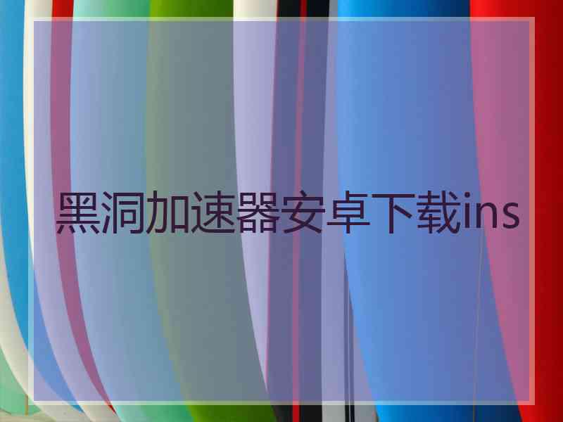 黑洞加速器安卓下载ins