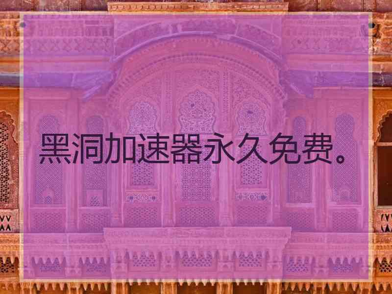 黑洞加速器永久免费。