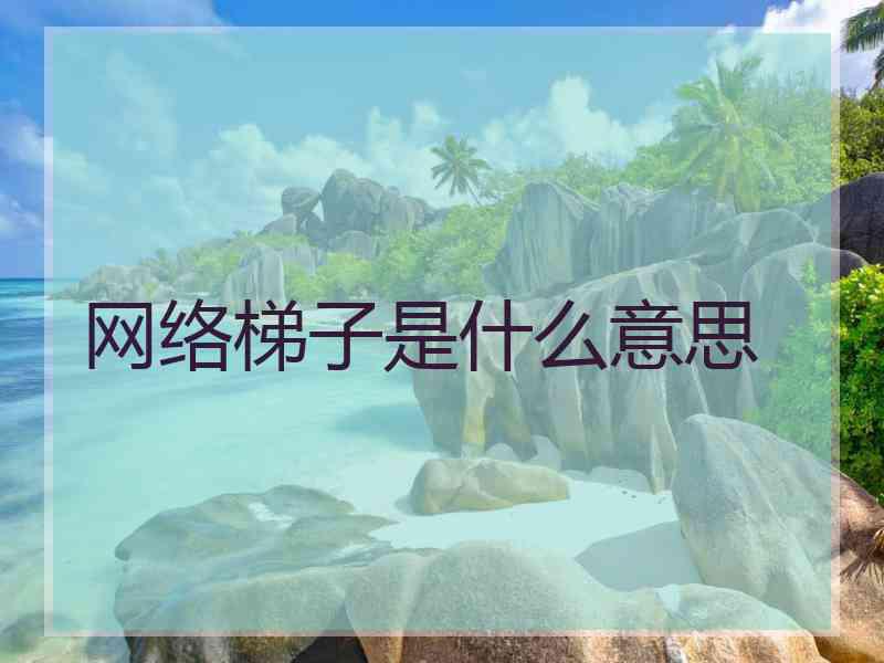 网络梯子是什么意思