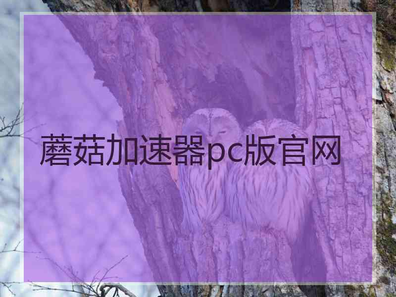 蘑菇加速器pc版官网