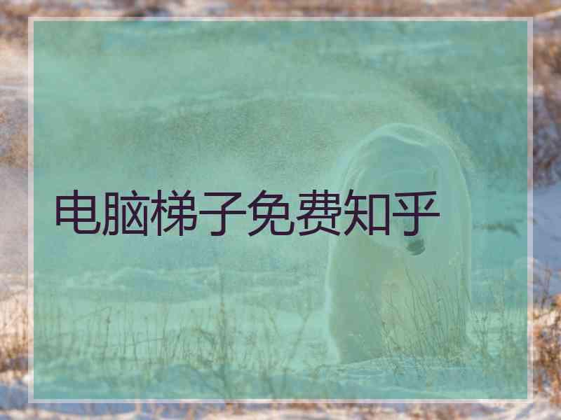 电脑梯子免费知乎