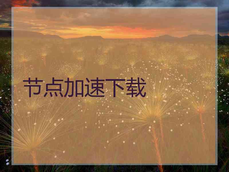 节点加速下载