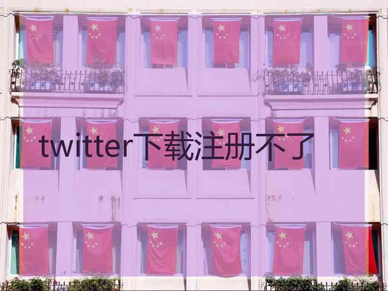 twitter下载注册不了
