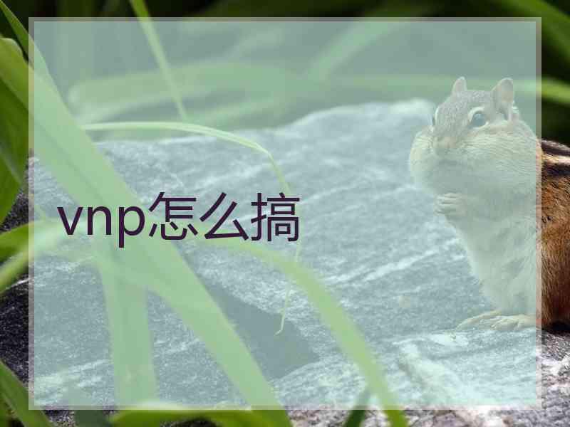 vnp怎么搞