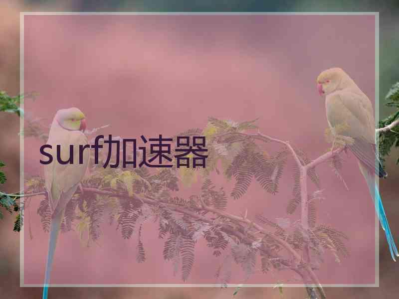 surf加速器