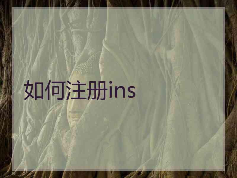 如何注册ins