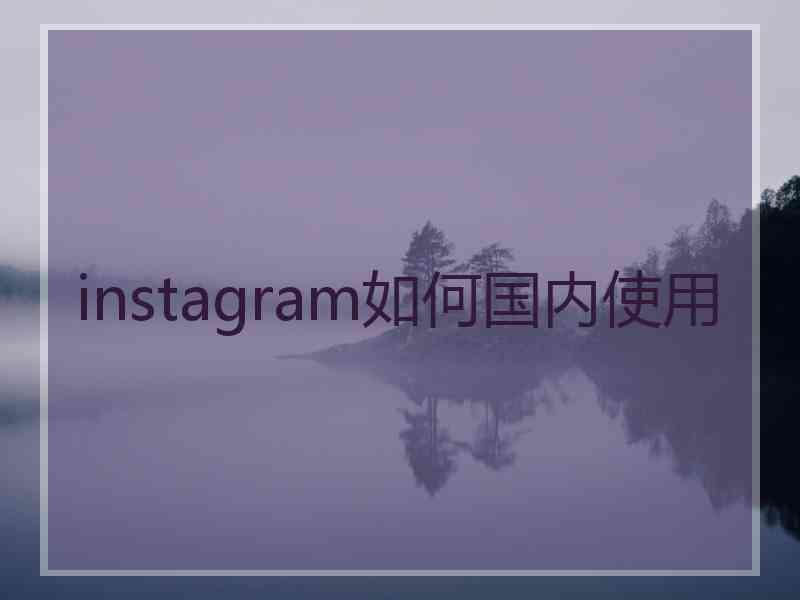 instagram如何国内使用