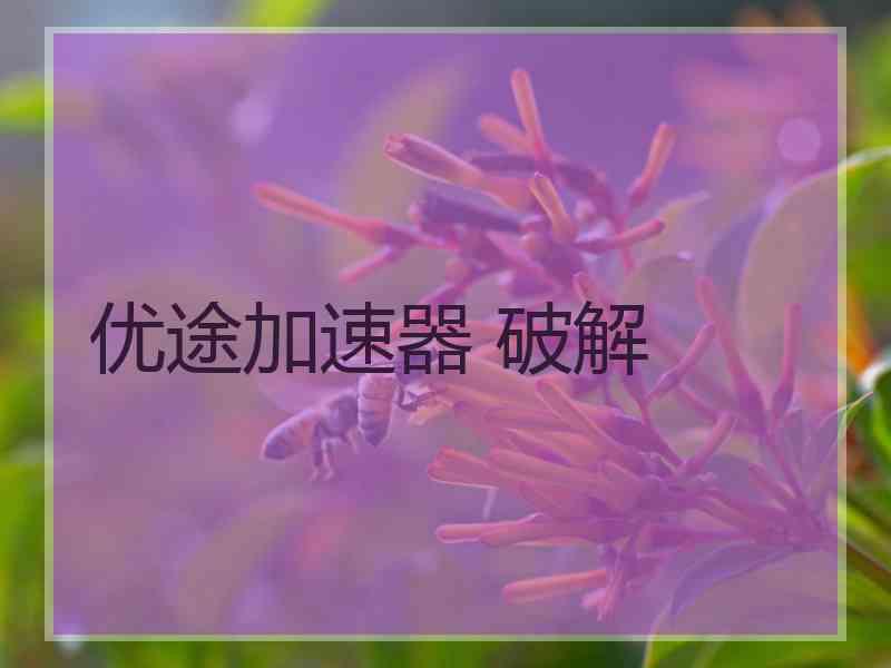 优途加速器 破解