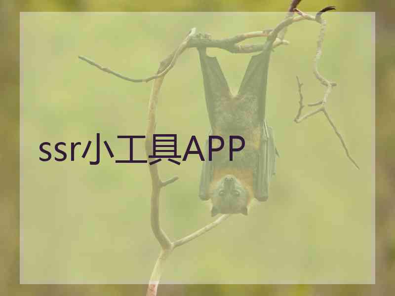 ssr小工具APP