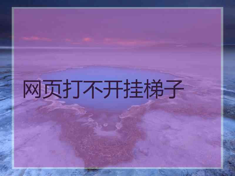 网页打不开挂梯子