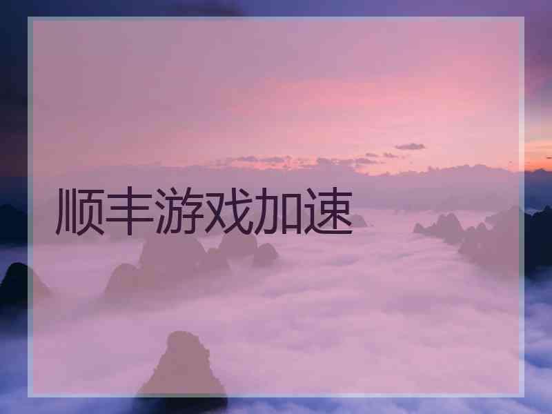 顺丰游戏加速