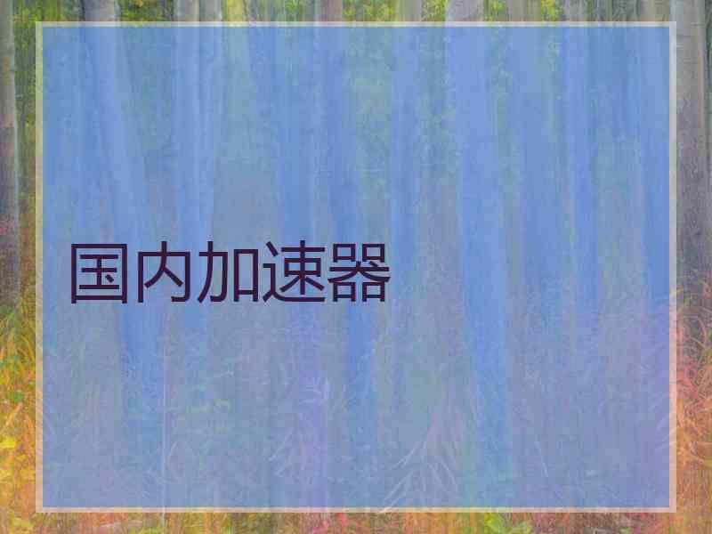 国内加速器