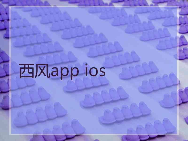 西风app ios