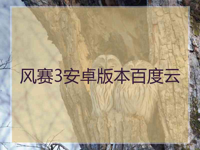 风赛3安卓版本百度云