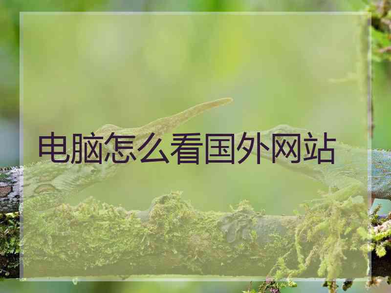 电脑怎么看国外网站