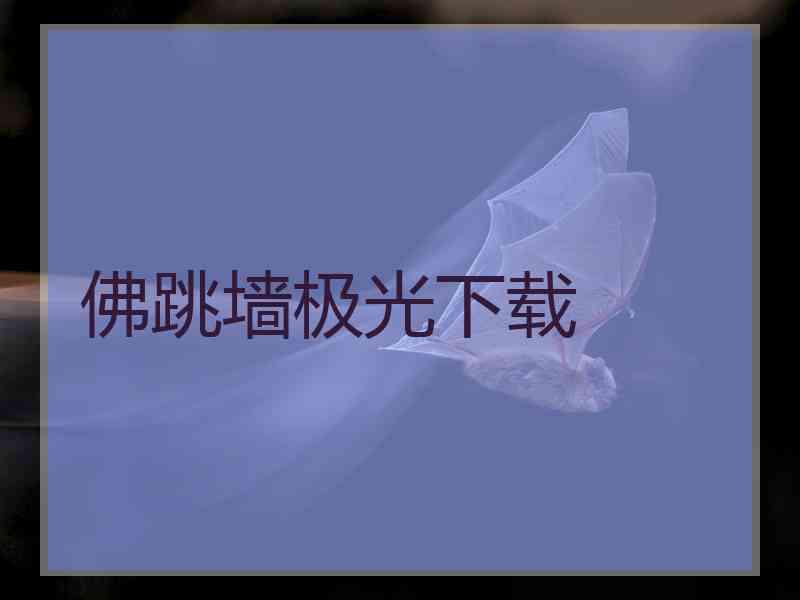 佛跳墙极光下载