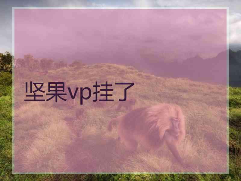 坚果vp挂了
