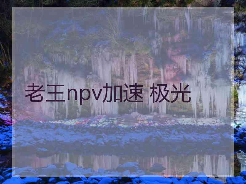 老王npv加速 极光