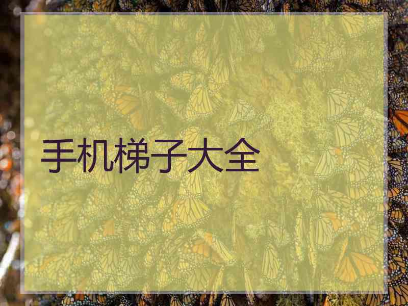 手机梯子大全