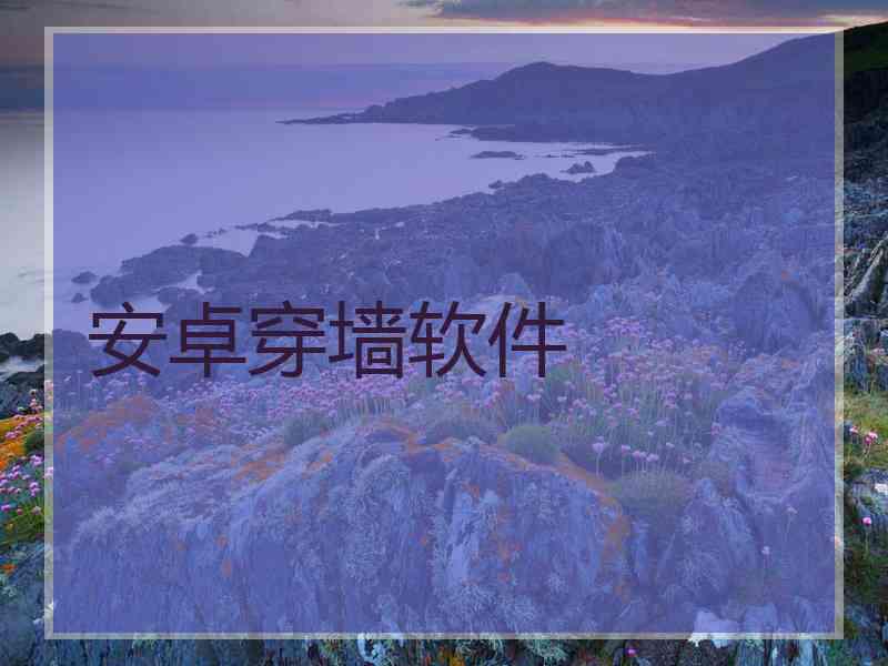 安卓穿墙软件