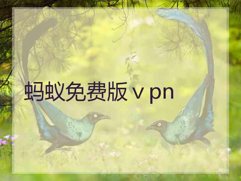 蚂蚁免费版ⅴpn
