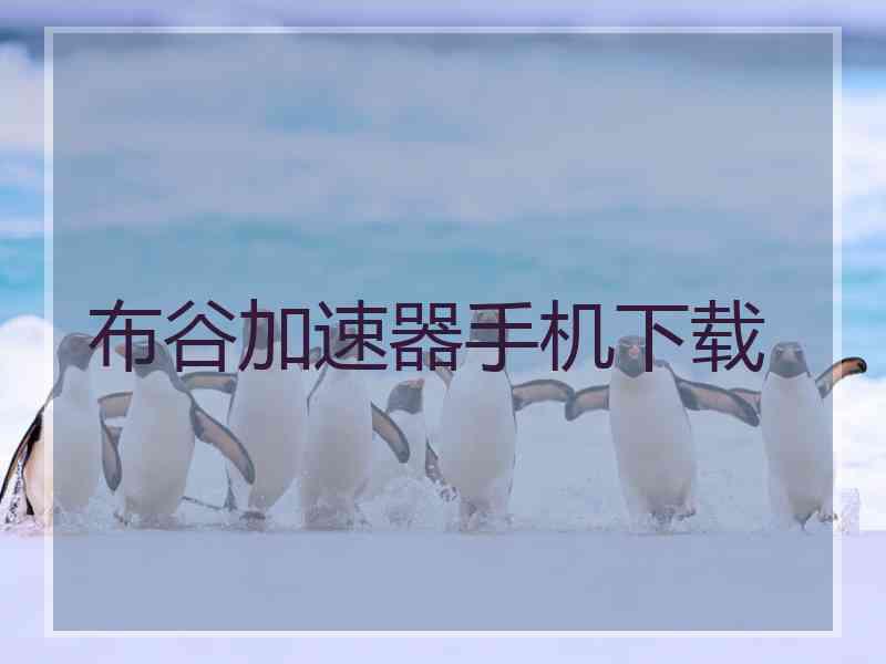 布谷加速器手机下载