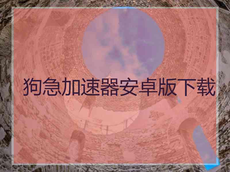 狗急加速器安卓版下载