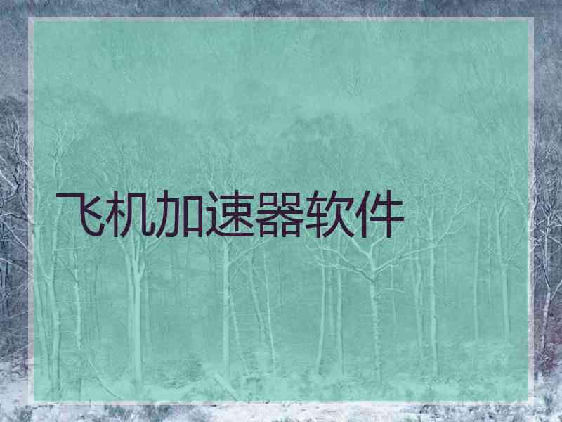 飞机加速器软件