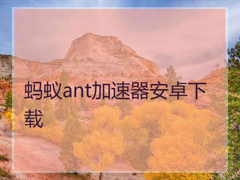 蚂蚁ant加速器安卓下载