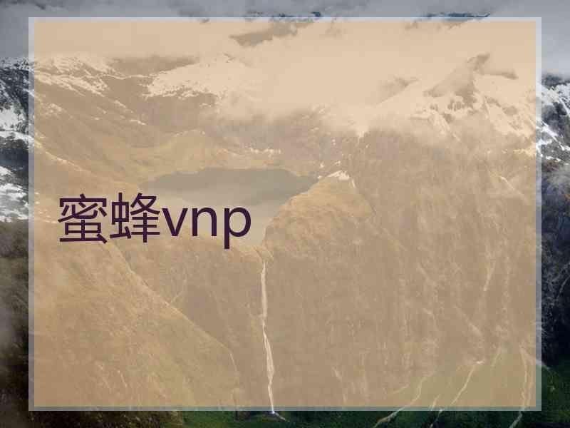 蜜蜂vnp