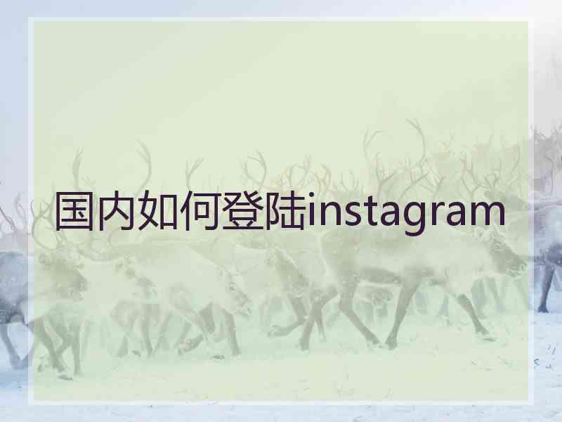 国内如何登陆instagram
