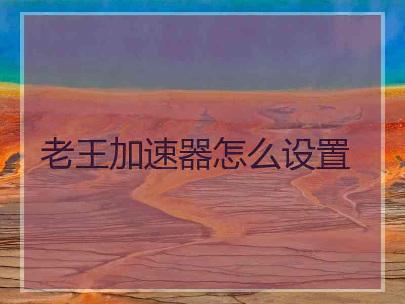 老王加速器怎么设置