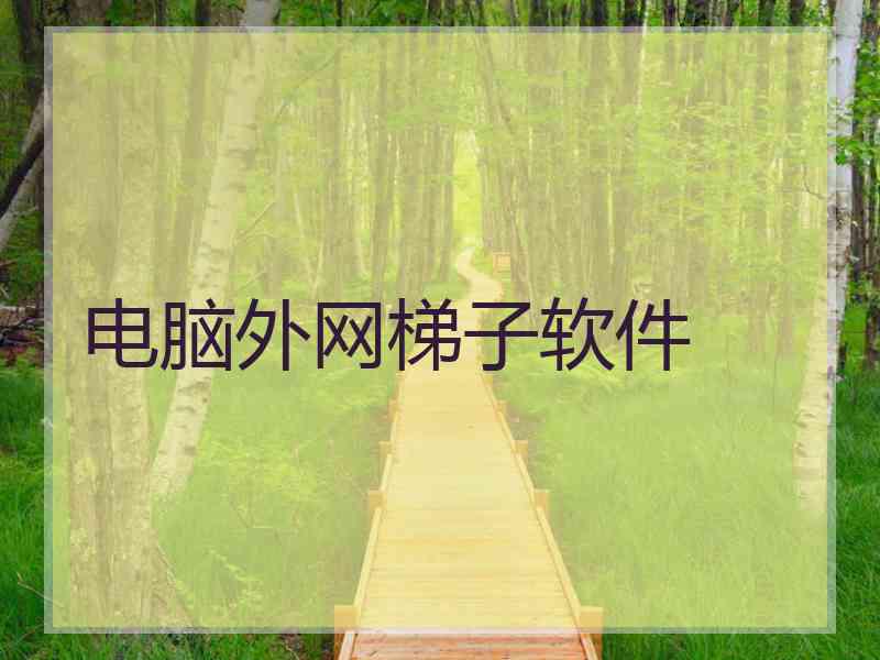 电脑外网梯子软件