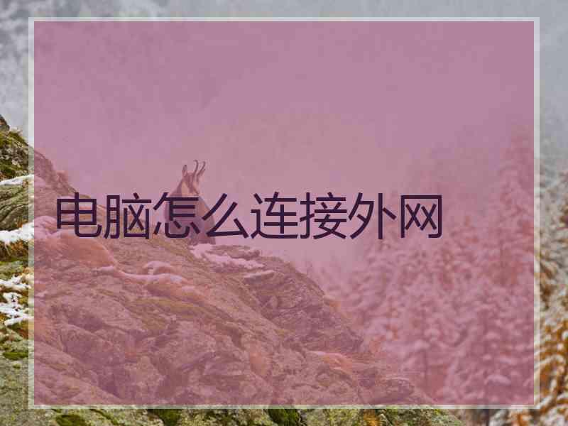 电脑怎么连接外网