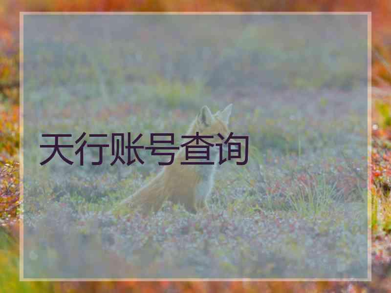 天行账号查询