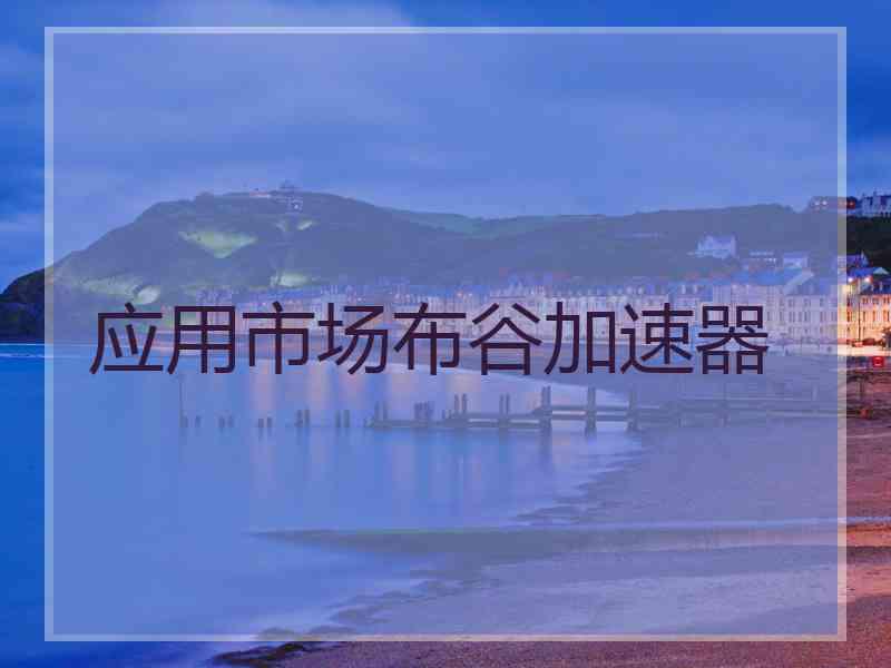 应用市场布谷加速器