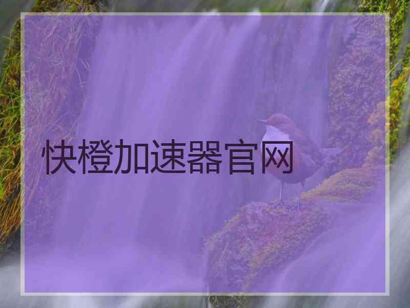 快橙加速器官网