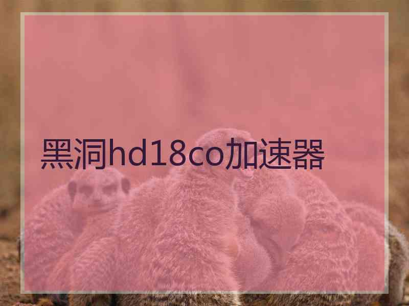 黑洞hd18co加速器